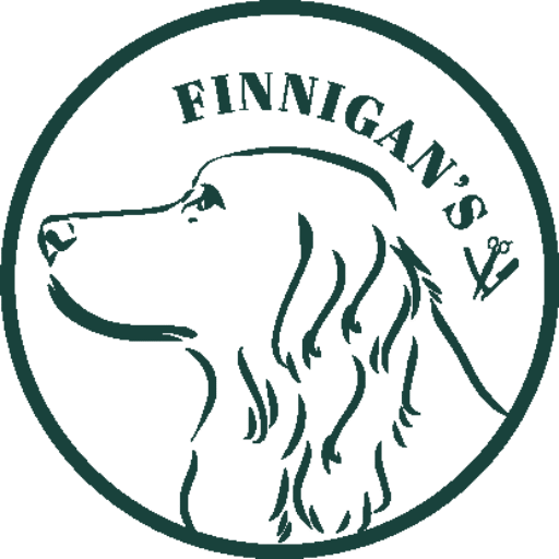 Logo-Finnigans